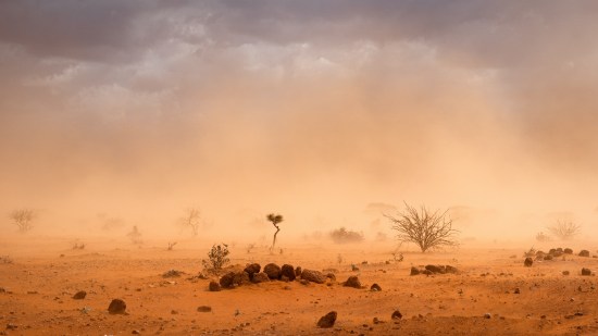 Refugiados climáticos: las víctimas invisibles del cambio climático