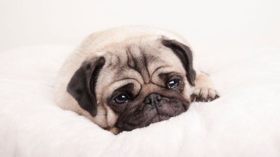 duelo_istock