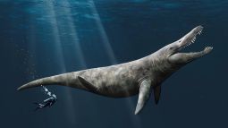 Recreación de pliosaurio