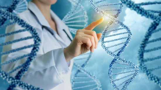¿Cuál es el ser vivo con el genoma más grande?