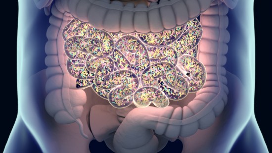 El recuento de bacterias
