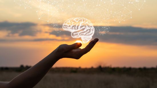 ¿Cuántas inteligencias existen según la IA?