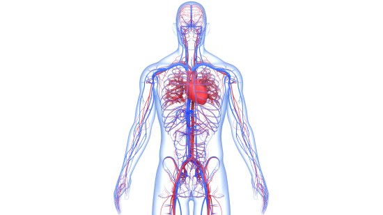 iStock-1337551268