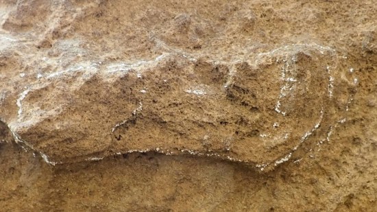 La huella de Homo sapiens