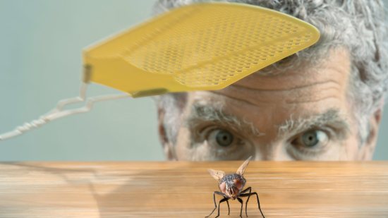 ¿Por qué los matamoscas tienen agujeros?