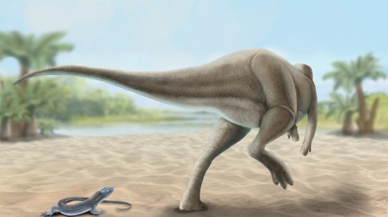 Recreación del aspecto de Calvarius rapidus