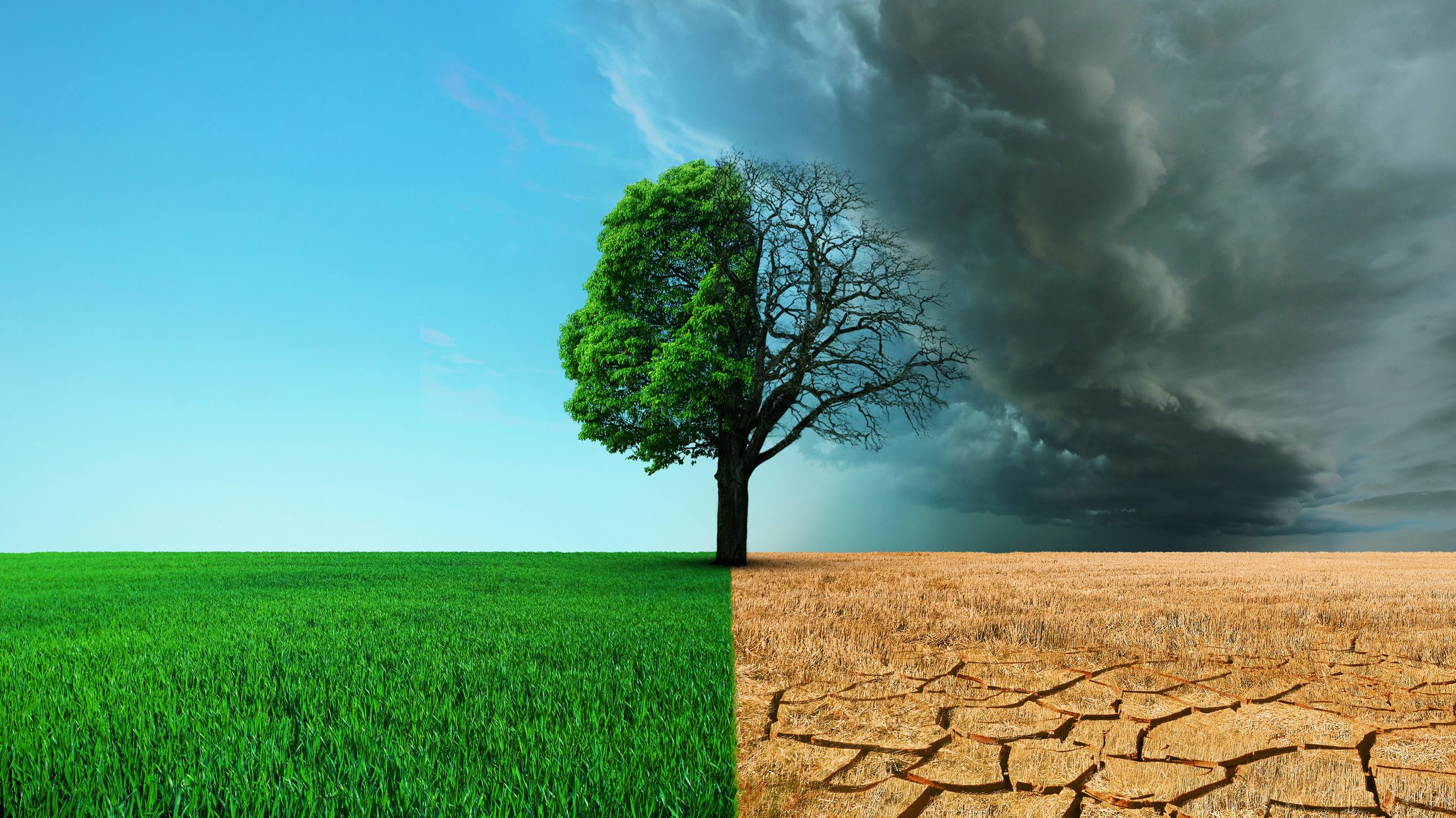 35 años de las primeras predicciones del cambio climático: ¿fallaban tanto como dicen?