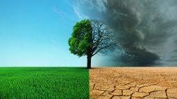 35 años de las primeras predicciones del cambio climático: ¿fallaban tanto como dicen?