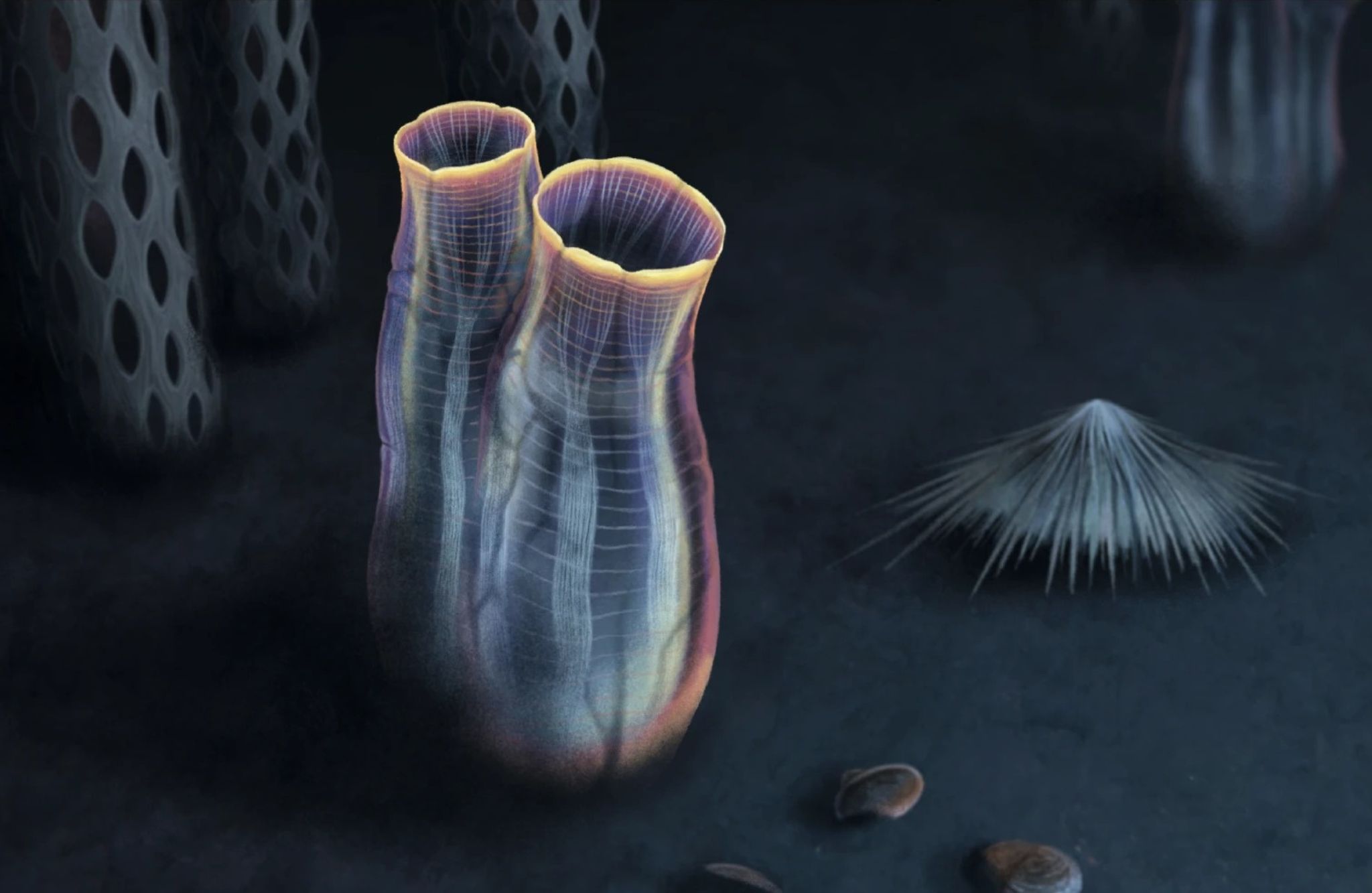 Recreación artística de Megasiphon thylakos