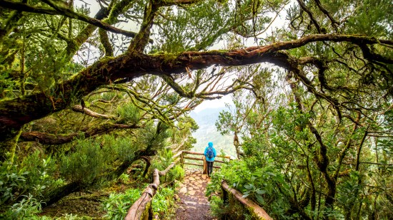 La Gomera / Getty Images