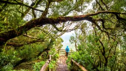 La Gomera / Getty Images