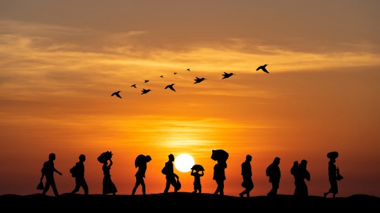 Migraciones