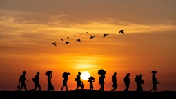 Migraciones