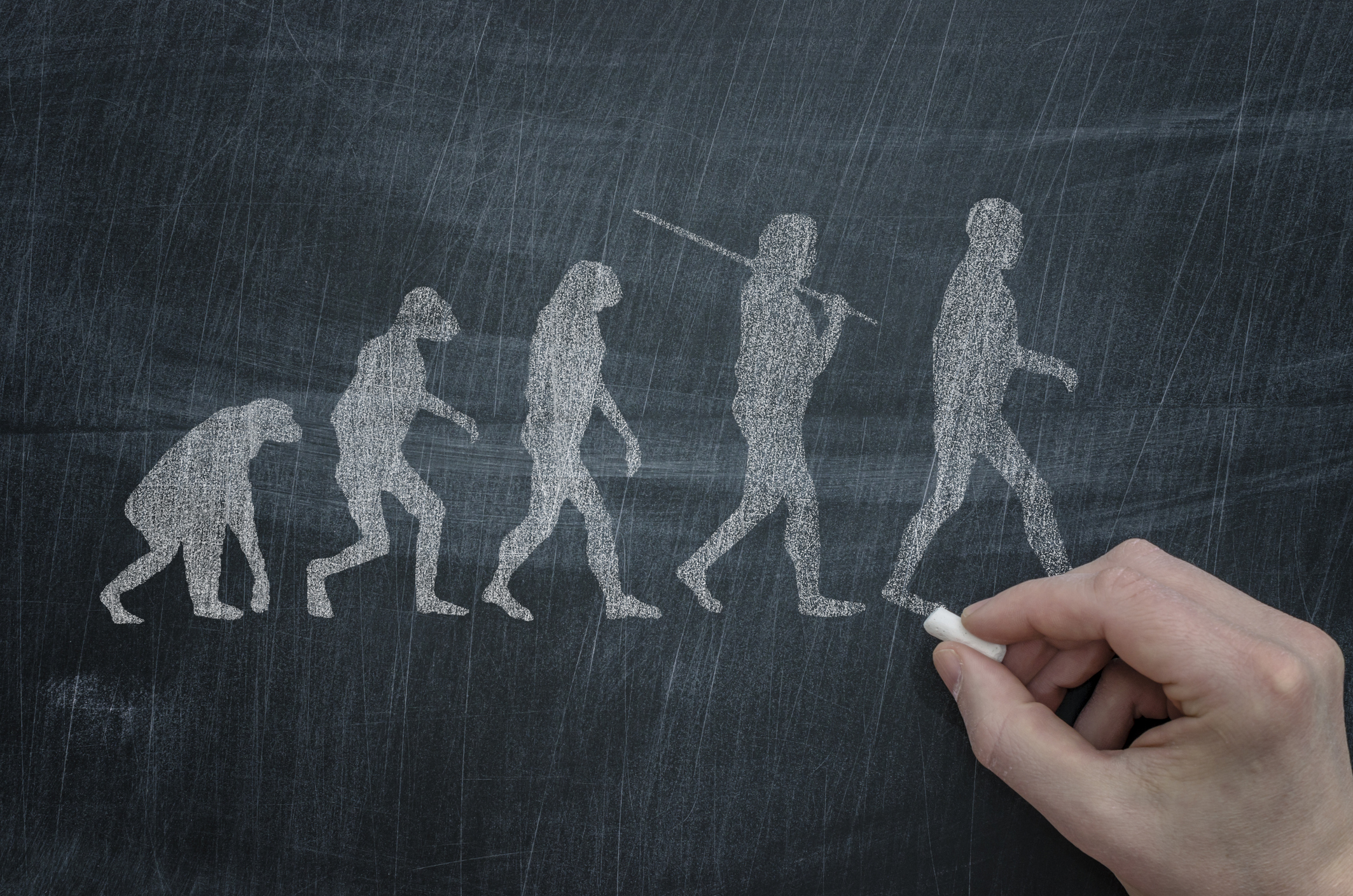 Evolución ser humano