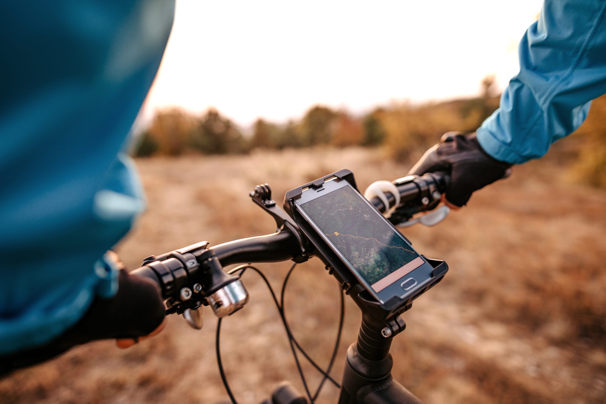 Perdiendo el Norte: ¿podría el GPS estar afectando nuestra inteligencia?