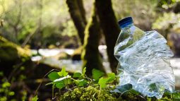 Transformando residuos en nutrientes: cómo funciona el plástico compostable