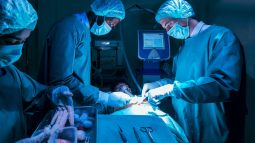 La increíble historia del jardinero que ayudó a realizar el primer trasplante cardiaco