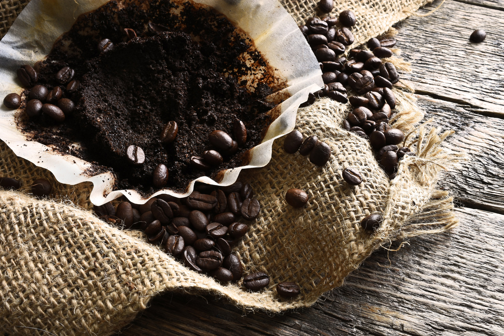 Posos de café