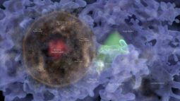 Esta enorme burbuja de galaxias podría ser un fósil del Big Bang