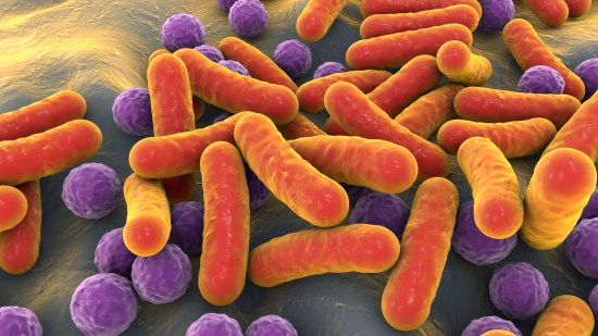 Los microplásticos pueden favorecer la expansión de enfermedades