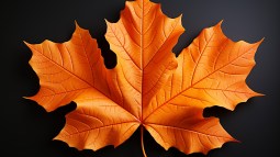 Otoño