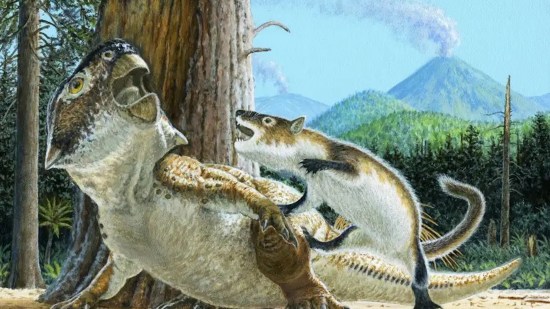 ¿Podían los mamíferos cazar dinosaurios?