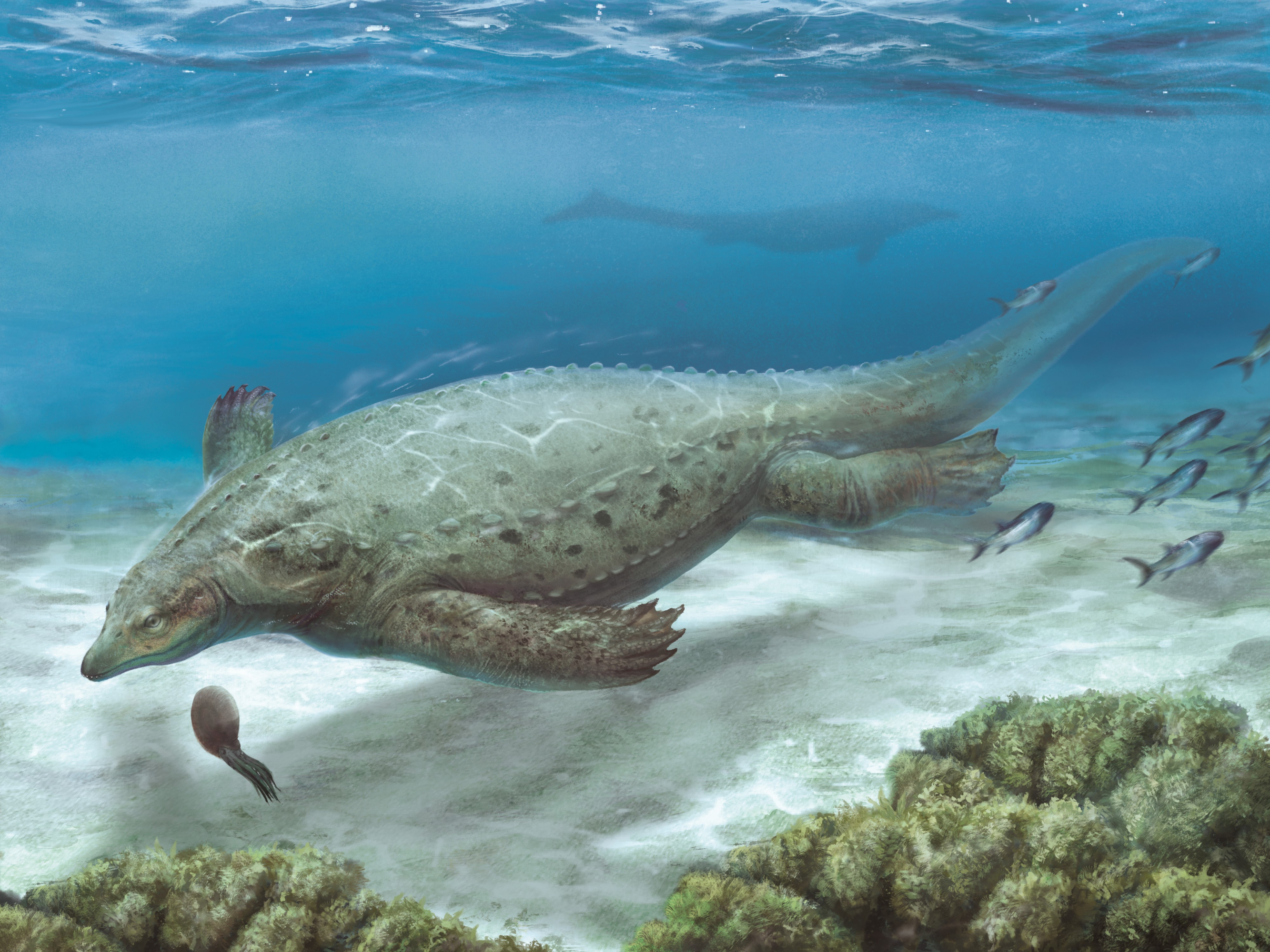 reptil marino