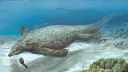 reptil marino