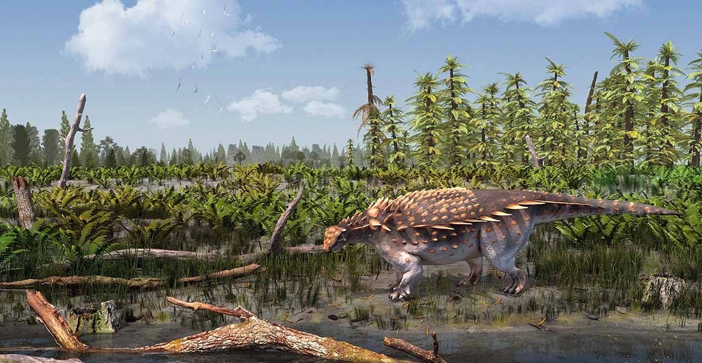 nuevo dinosaurio acorazado