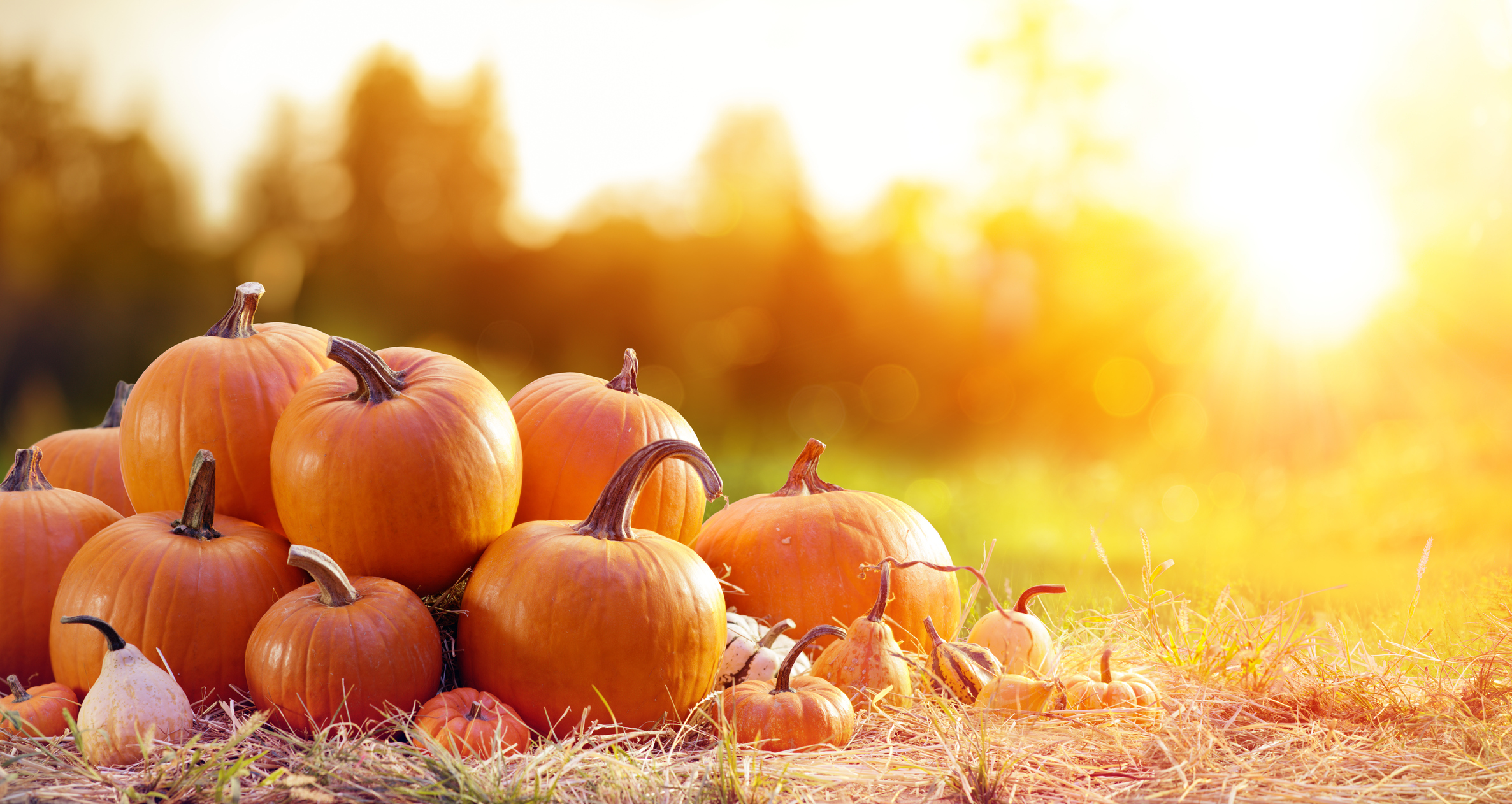 Calabaza