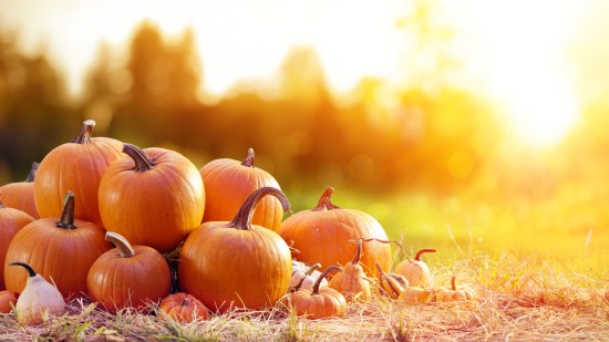 Calabaza