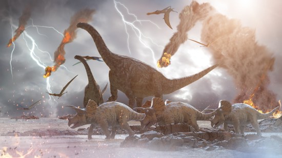 ¿Cómo era la vida (y la muerte) en la Tierra cuando cayó el meteorito que extinguió a los dinosaurios?