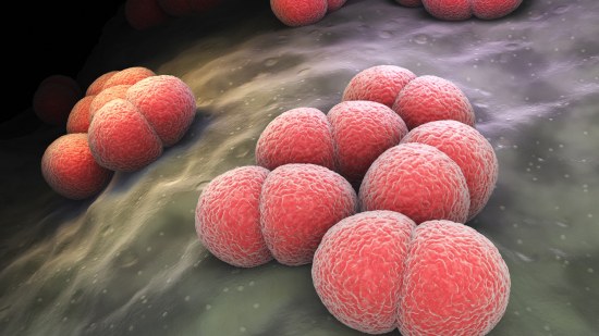 Meningitis bacteriana