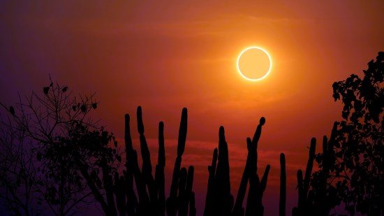 Eclipse solar anular