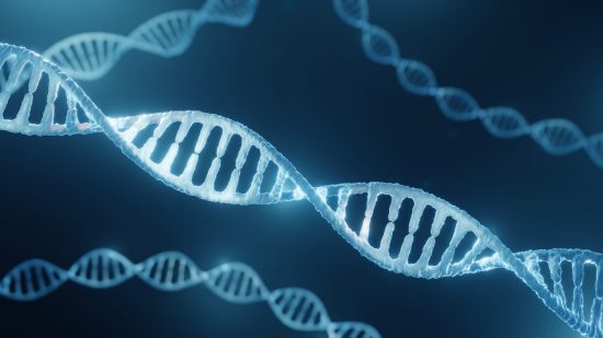 ADN neandertal