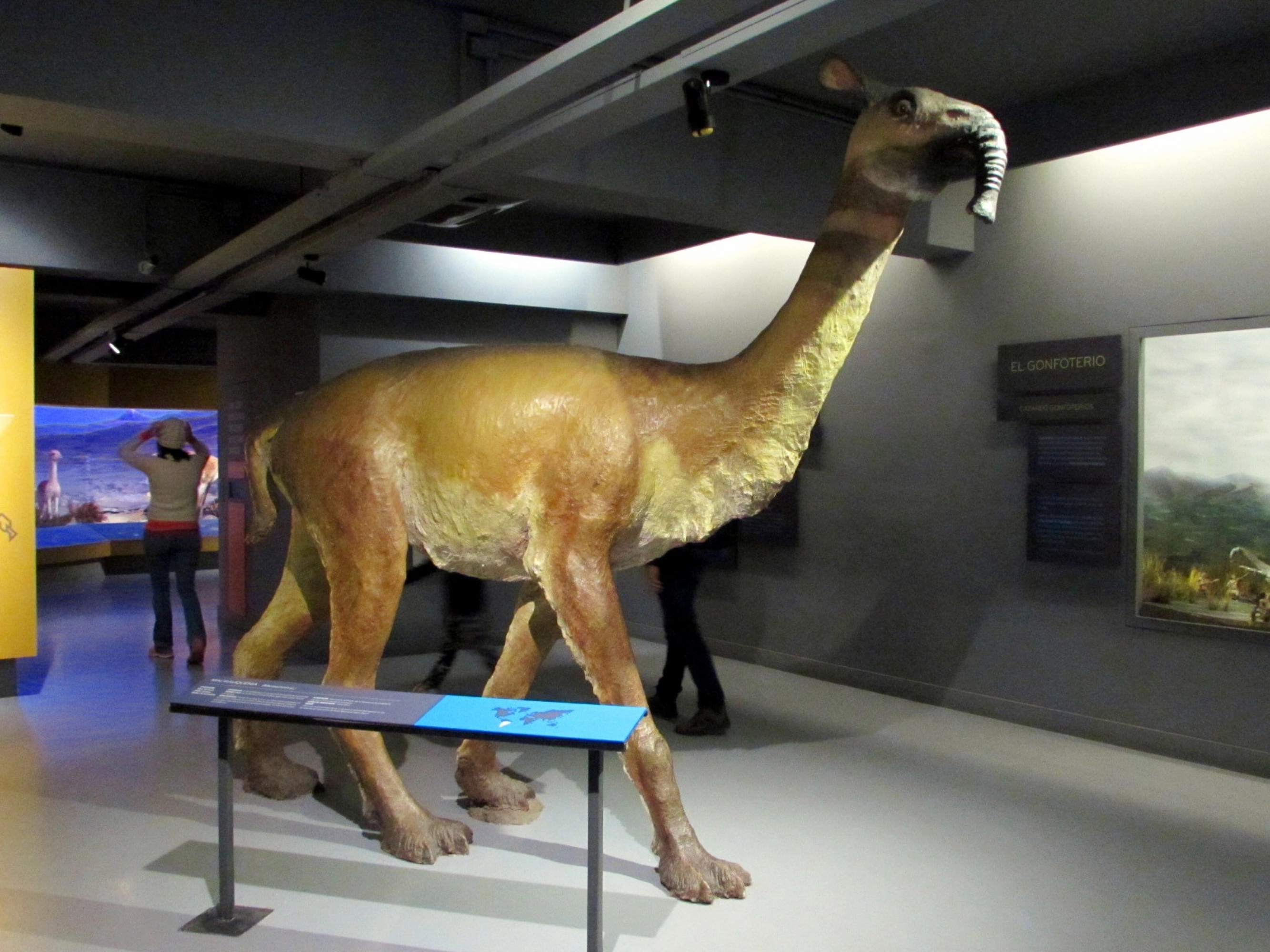 Macreuchenia Star Wars Darwin