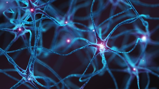Neuronas