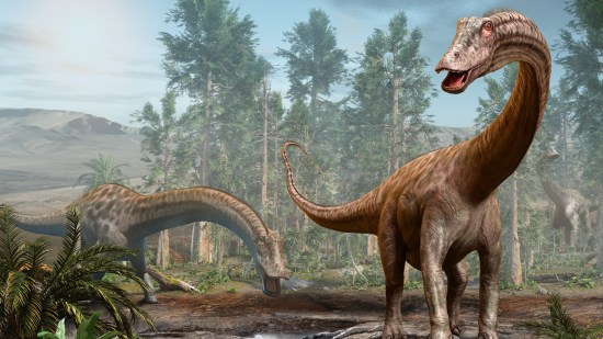 dinosaurio cuello largo mas antiguo