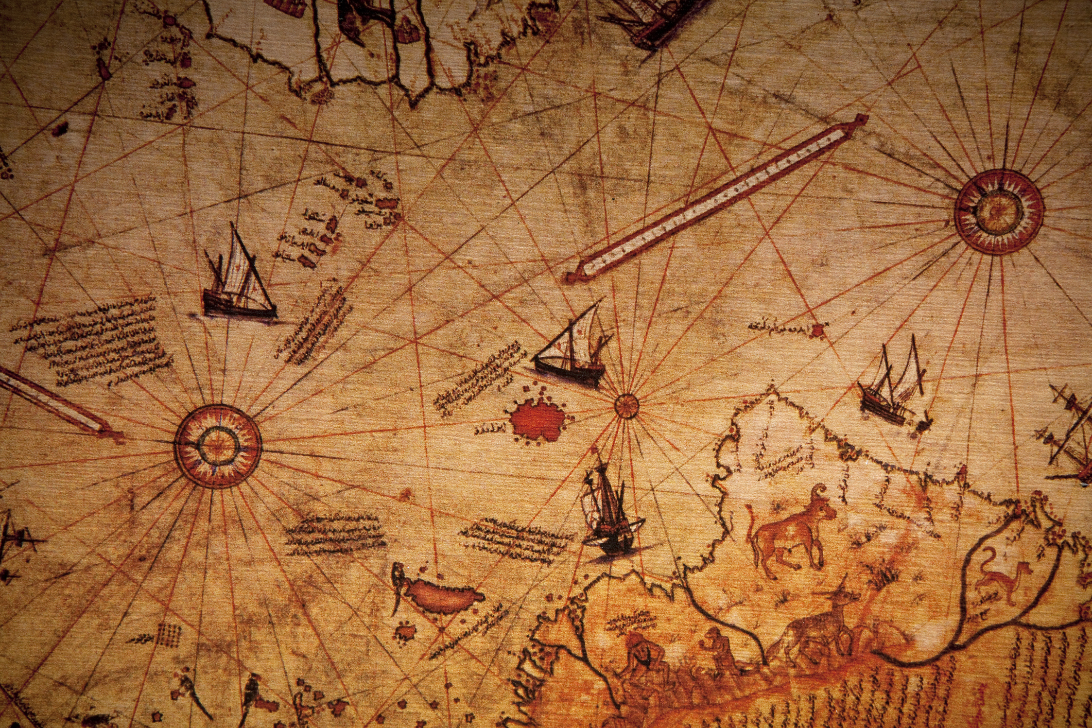El mapa de Piri Reis, ¿un enigma cartográfico?