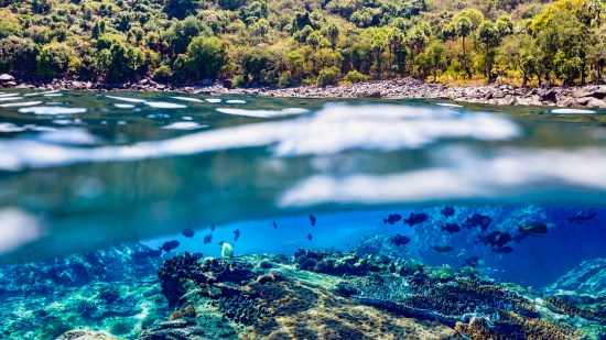 El valor de la naturaleza, pieza clave para un mundo más justo