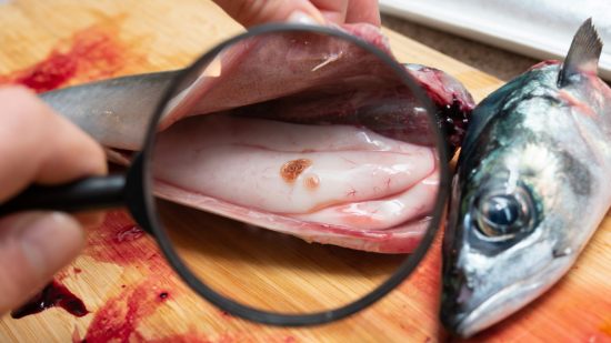 Pescado con Anisakis