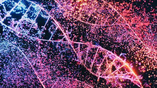 ¿Cuáles son las diferencias entre la genética y la epigenética?