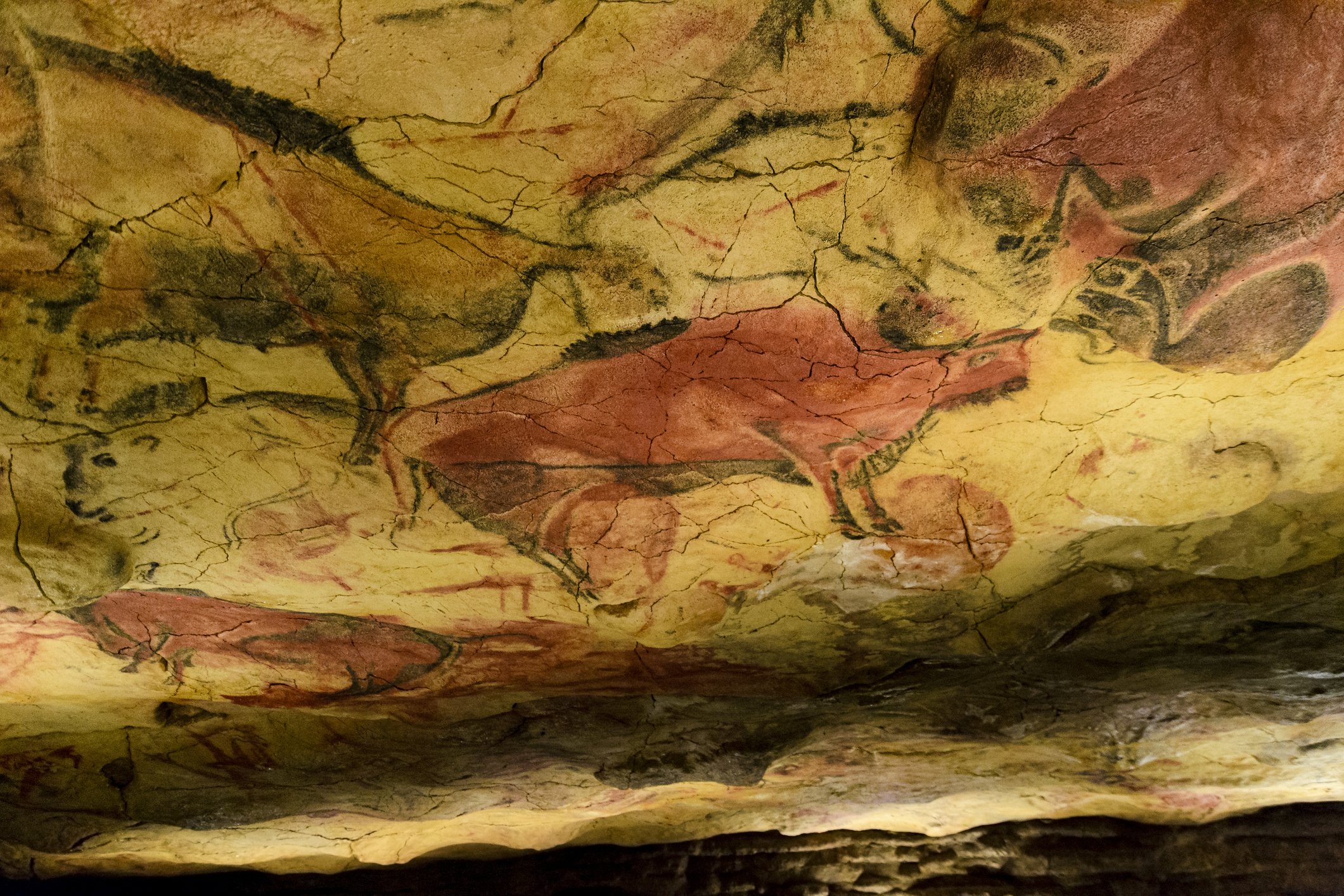 Cueva de Altamira
