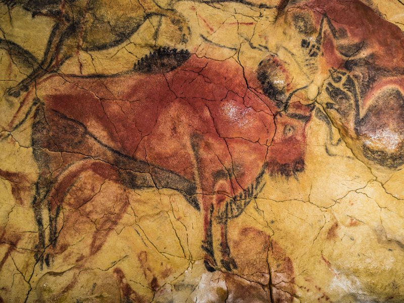 Bisonte Altamira