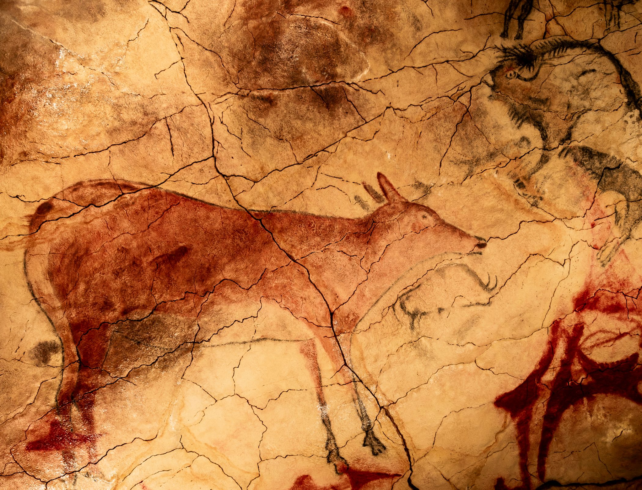 La cueva de Altamira: el descubrimiento del arte rupestre del Paleolítico Superior