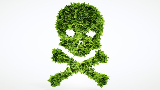 Plantas venenosas