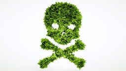 Plantas venenosas