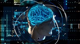 iStock-1498271896