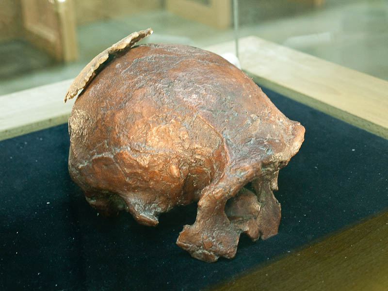 restos humanos más antiguos en España