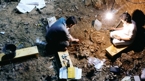 Restos anatómicos de un millón de años